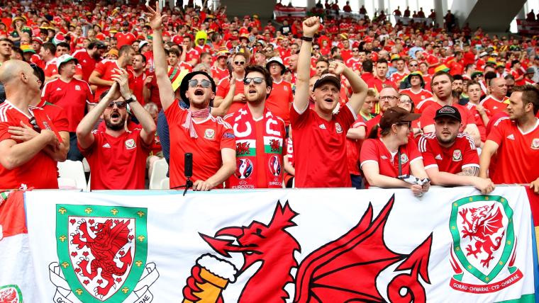Wales fans Euro 2016