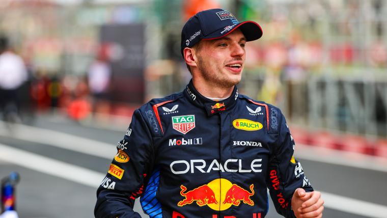 F1 Chinese Grand Prix: Verstappen takes pole image