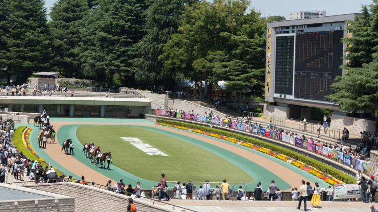 Horse Racing Paddock at the Tokyo Racecourse 060318 東京競馬場パドック